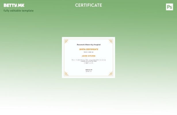 модерен стил Шаблон за извод од матичната книга на родените во породилиштето Њуј